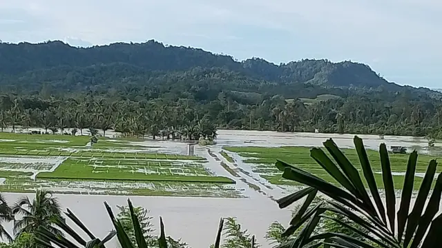 Banjir Terjang Rumah dan Lahan Pertanian di Bombana, Pihak BPBD Mengaku Belum Terima Laporan